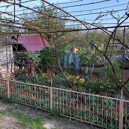 Вилла Vila Dora Japca Экстерьер фото