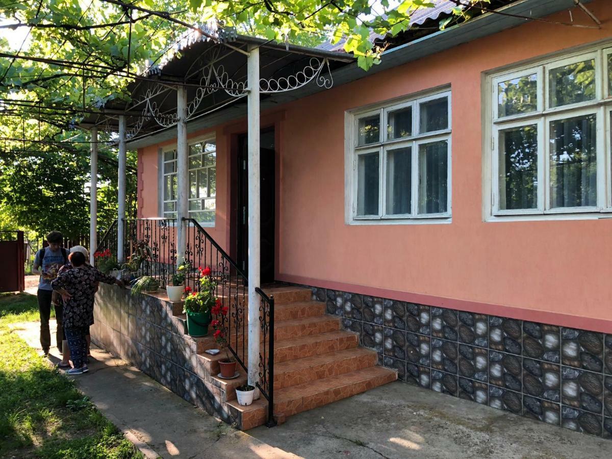 Вилла Vila Dora Japca Экстерьер фото