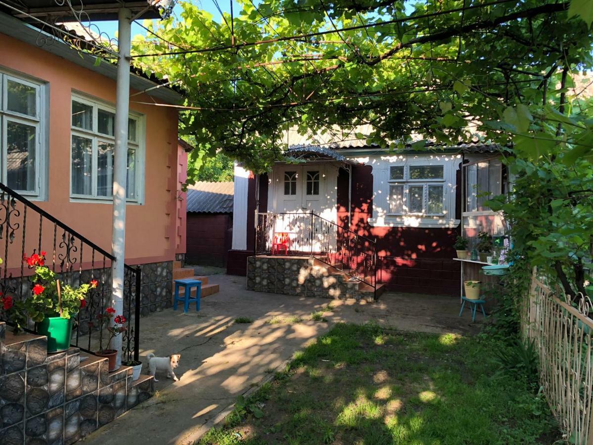 Вилла Vila Dora Japca Экстерьер фото