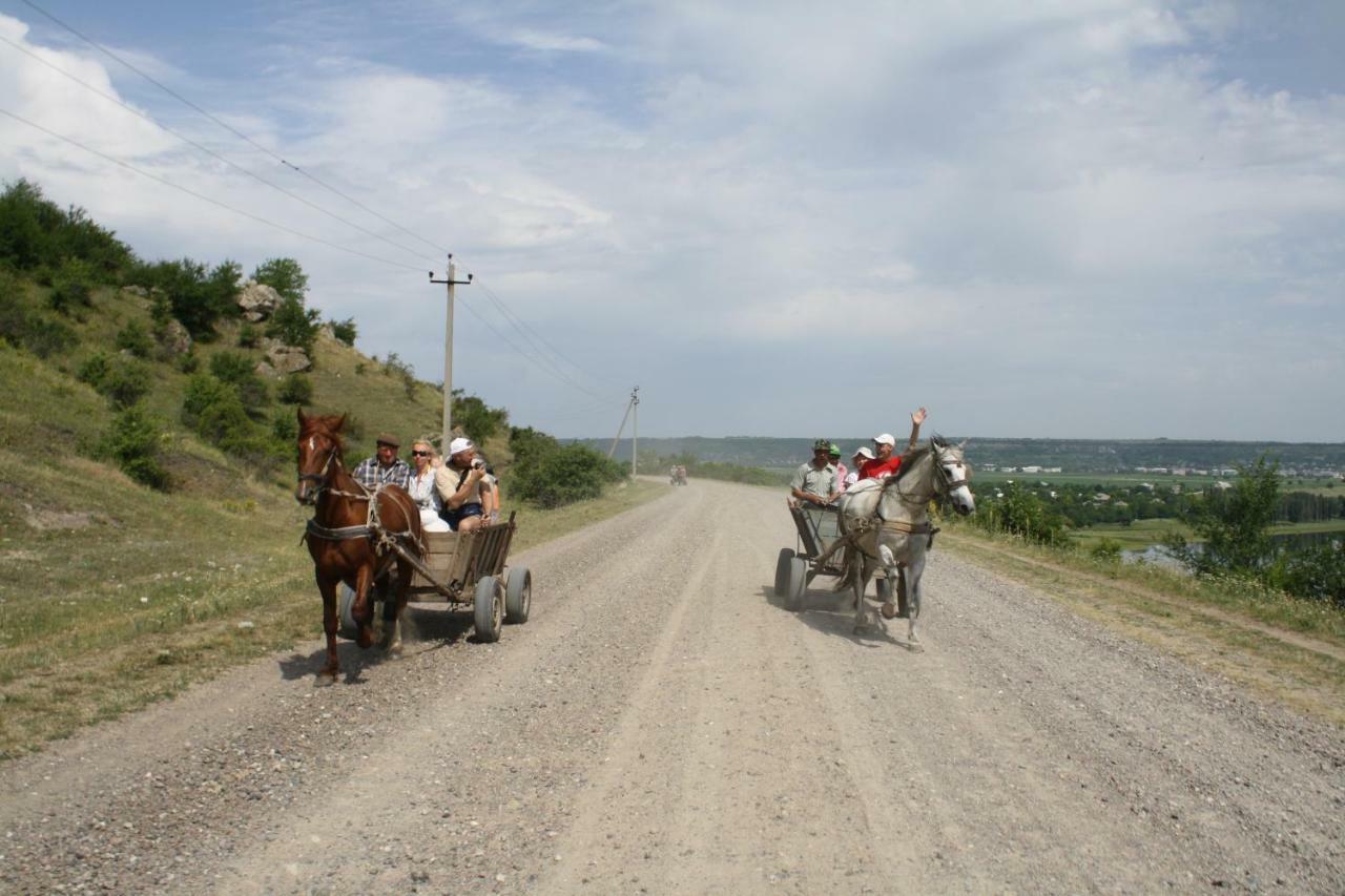 Вилла Vila Dora Japca Экстерьер фото