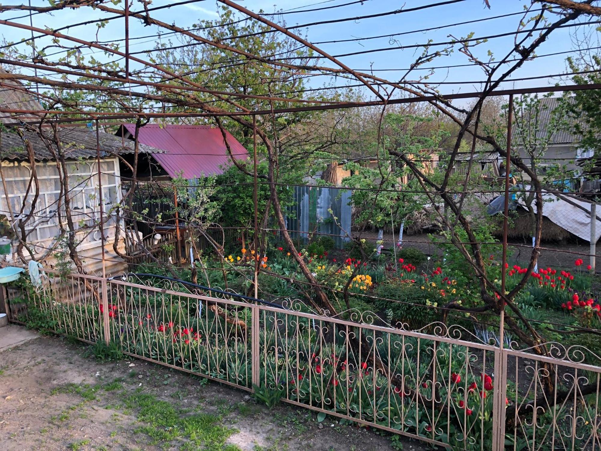 Вилла Vila Dora Japca Экстерьер фото
