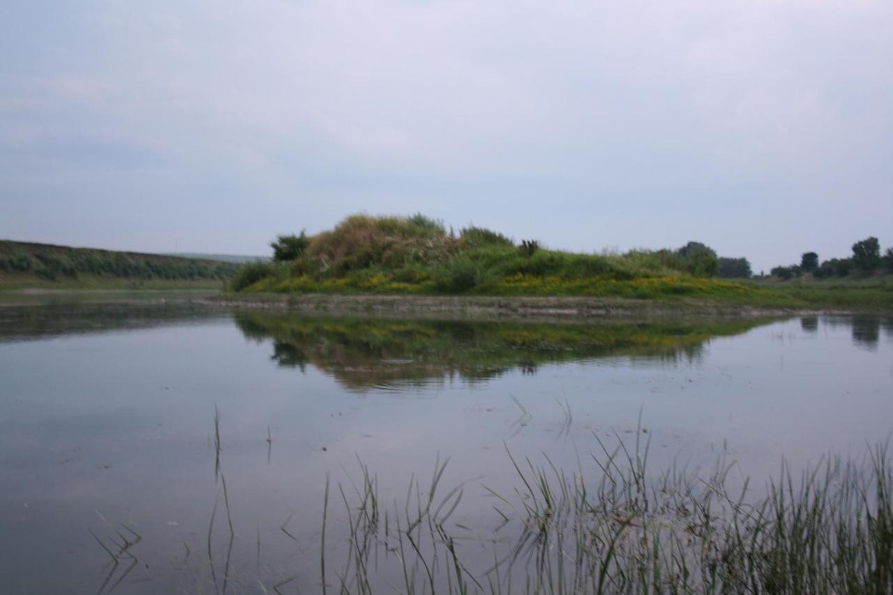 Вилла Vila Dora Japca Экстерьер фото