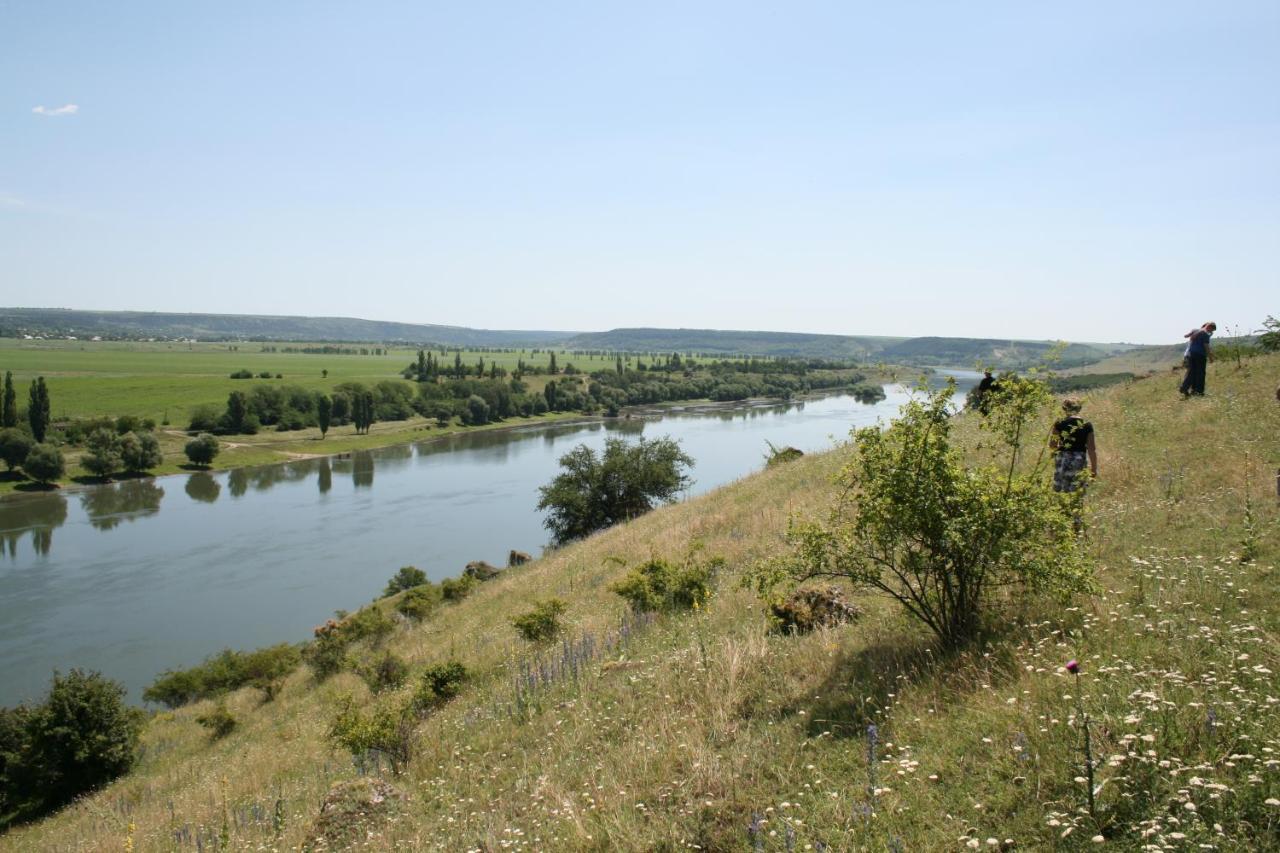 Вилла Vila Dora Japca Экстерьер фото