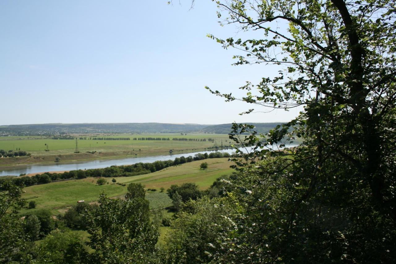 Вилла Vila Dora Japca Экстерьер фото