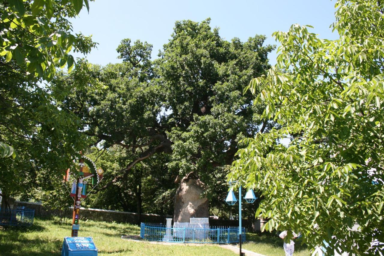 Вилла Vila Dora Japca Экстерьер фото