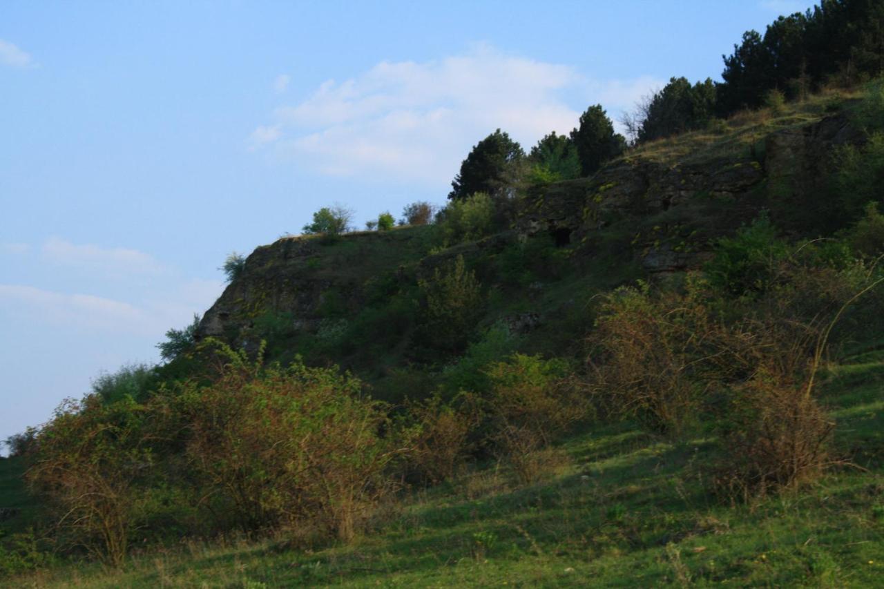 Вилла Vila Dora Japca Экстерьер фото
