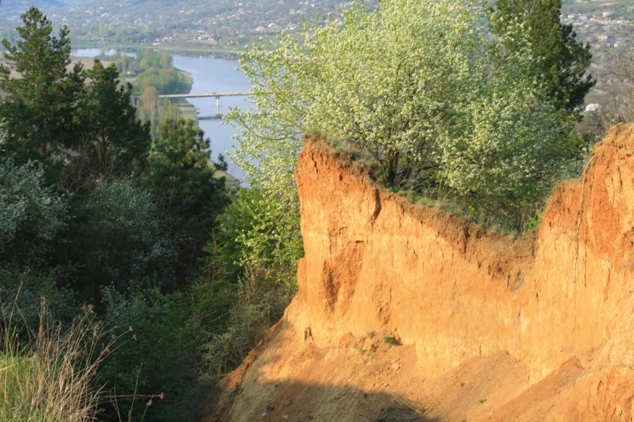 Вилла Vila Dora Japca Экстерьер фото