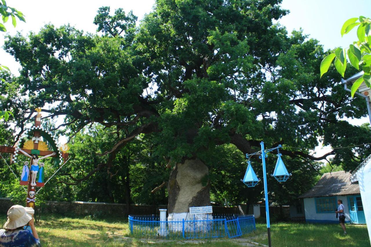 Вилла Vila Dora Japca Экстерьер фото