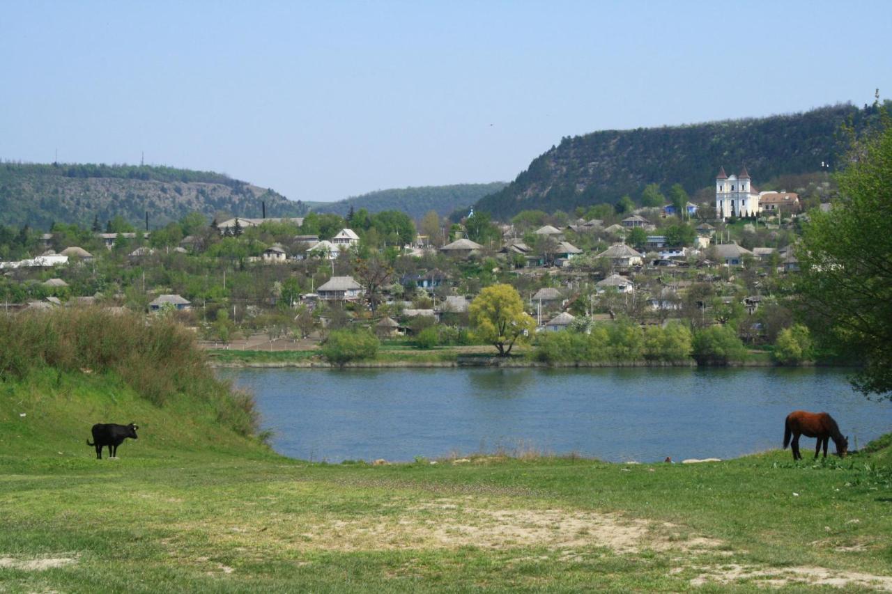 Вилла Vila Dora Japca Экстерьер фото